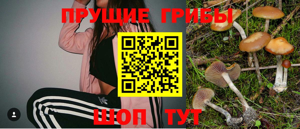 Галлюциногенные грибы мицелий  Вход с VPN  Лобня  Галлюциногенные грибы мицелий 